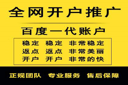 SEM广告投放优化案例研究
